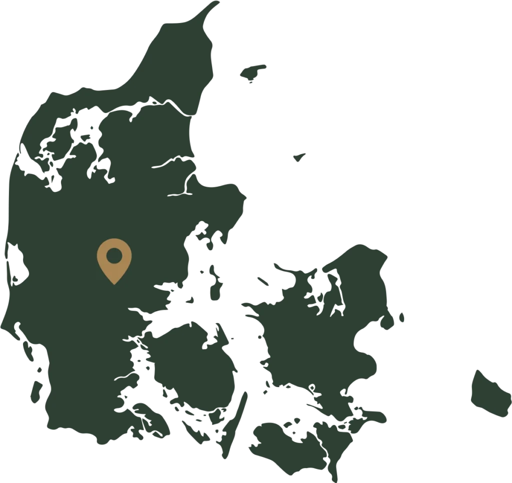 Riis Feriepark placering på Danmarkskort