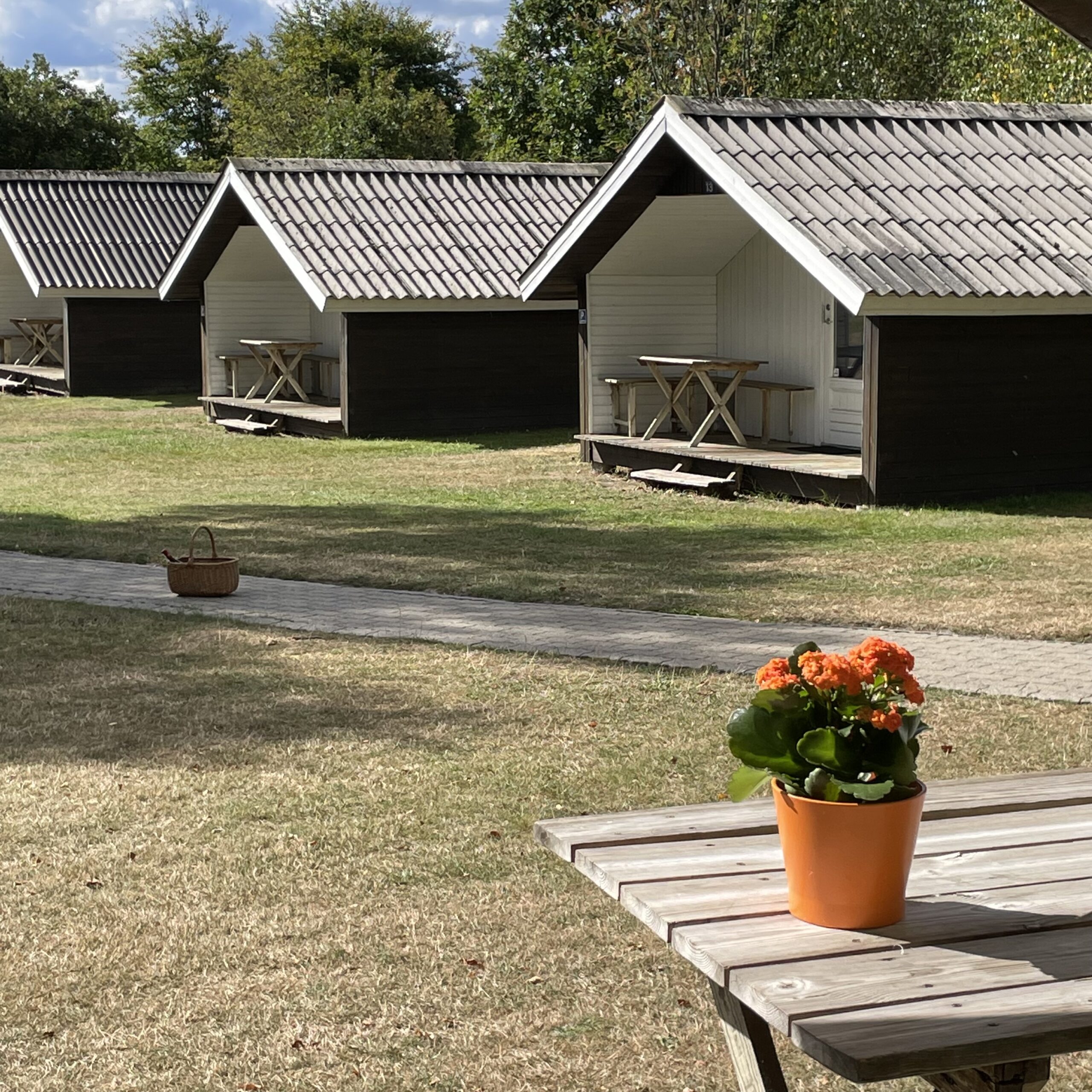 Overnatning i hytter i Give tæt på Billund, Jelling og Vejle